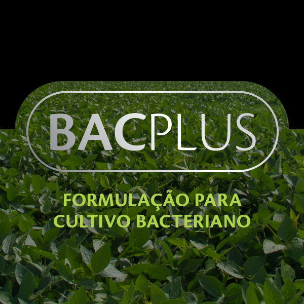 Bacplus